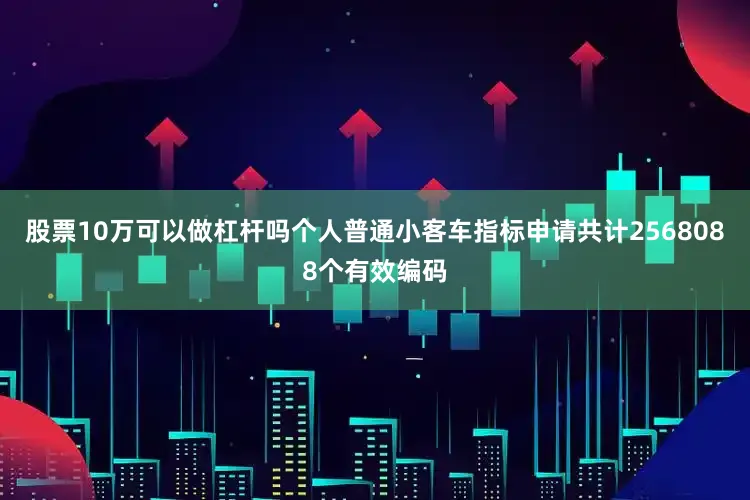 股票10万可以做杠杆吗个人普通小客车指标申请共计2568088个有效编码