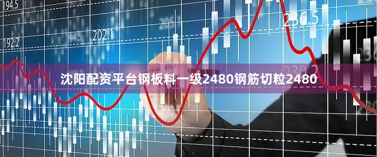 沈阳配资平台钢板料一级2480钢筋切粒2480