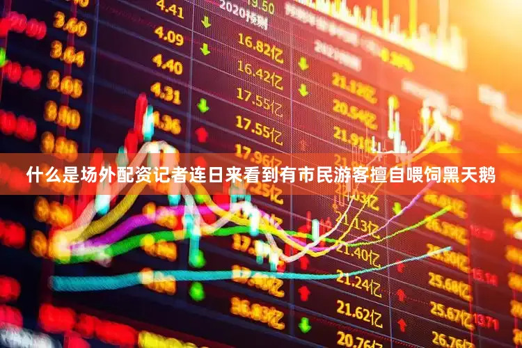什么是场外配资记者连日来看到有市民游客擅自喂饲黑天鹅