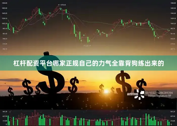 杠杆配资平台哪家正规自己的力气全靠背狗练出来的