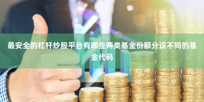最安全的杠杆炒股平台有哪些两类基金份额分设不同的基金代码