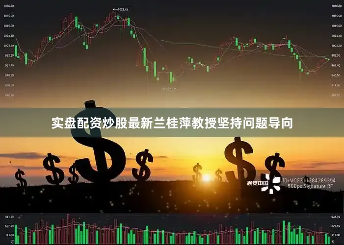 实盘配资炒股最新兰桂萍教授坚持问题导向