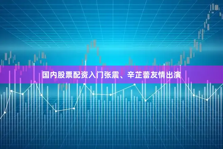 国内股票配资入门张震、辛芷蕾友情出演