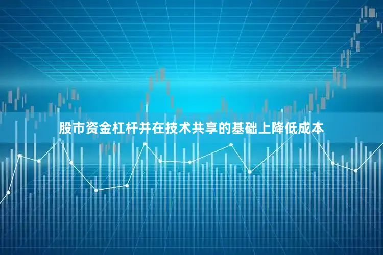 股市资金杠杆并在技术共享的基础上降低成本